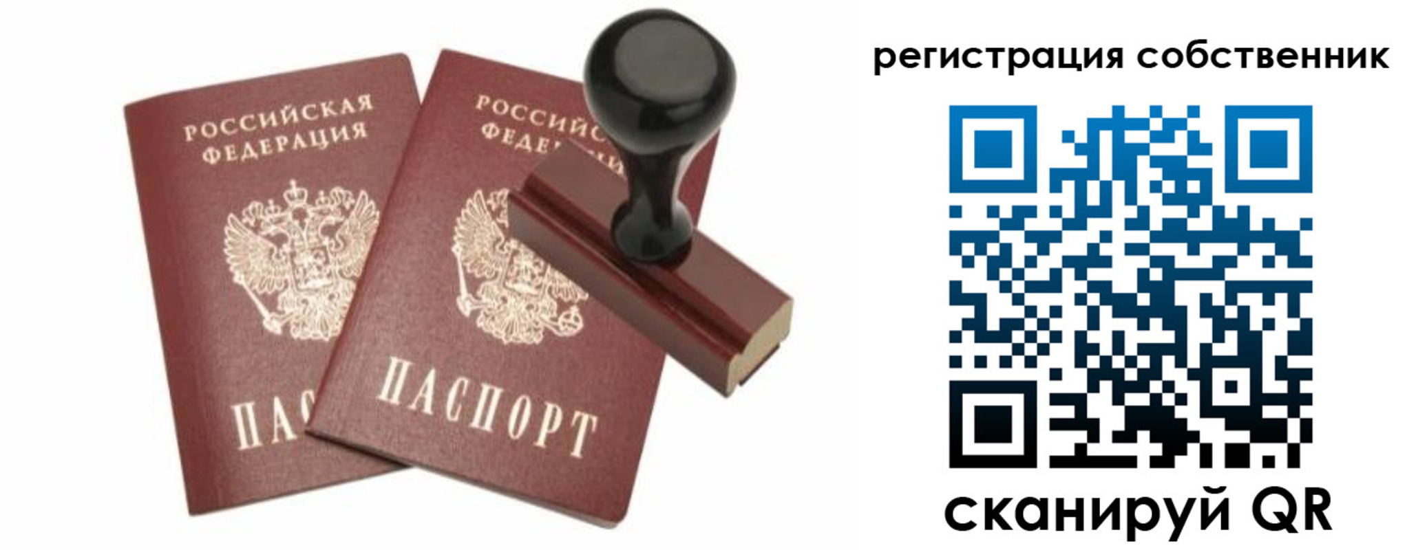 прописка паспорт в Болотном